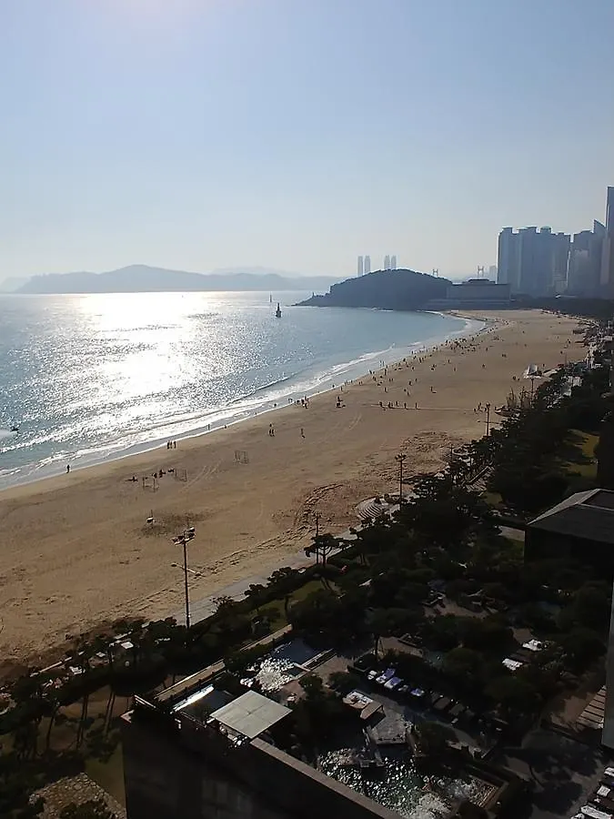 Paledecz Haeundae View contacts